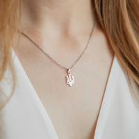 Серебряное колье 